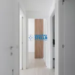 Jl Blu